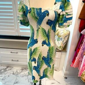 Like New Farm Rio dress